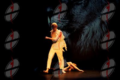 SHOW_02359.jpg